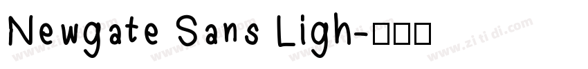 Newgate Sans Ligh字体转换